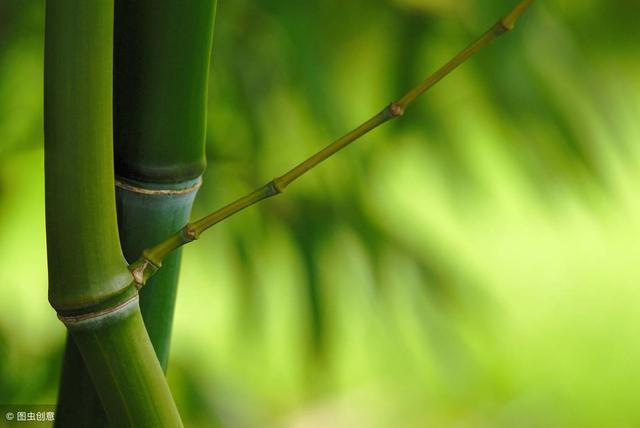 合肥恒大第一高楼最新消息,合肥第一高楼恒大518