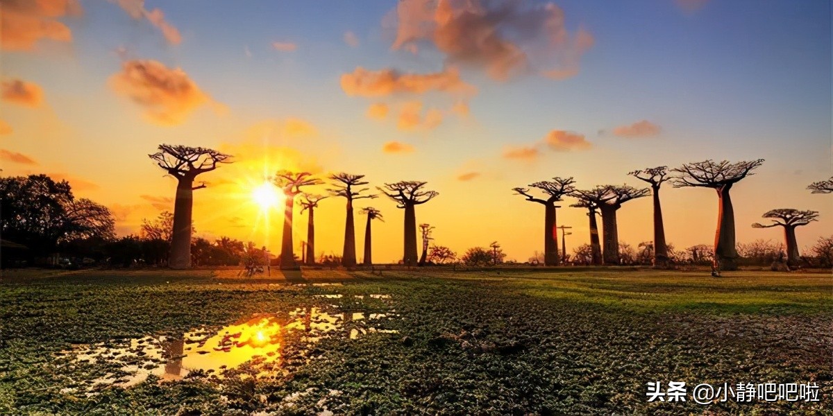 马达加斯加冷知识,马达加斯加的特点和路线