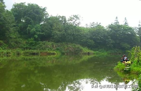 短短两年，荣华村挖掘地标品牌脱贫致富，乡村振兴并不遥远！