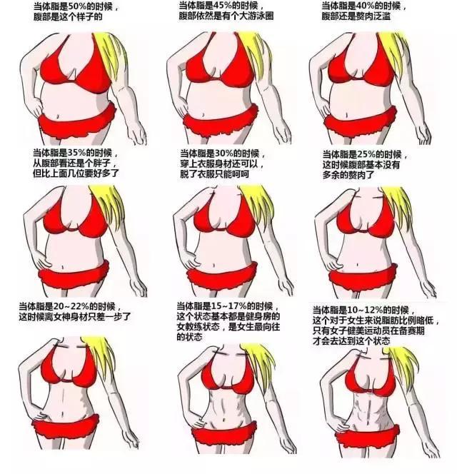 如何快速降低自己的体脂,男性体脂26%降低到20%