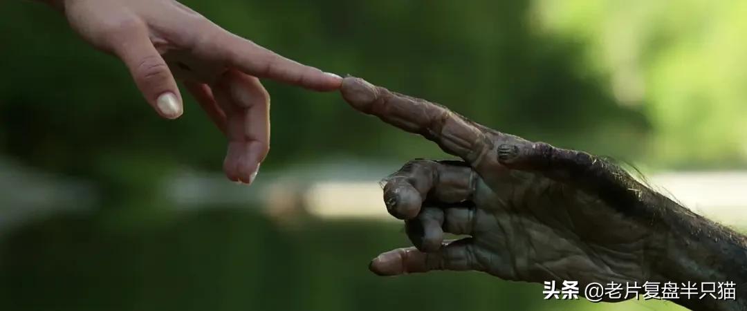 超体跟寡姐有关系吗,超体是寡姐演的吗