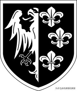 武装*党**卫军：保卫希特勒元首碉堡并坚持到最后的居然是法国人？