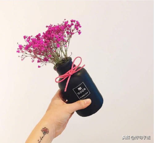 每日经典语录简短,短小金句语录