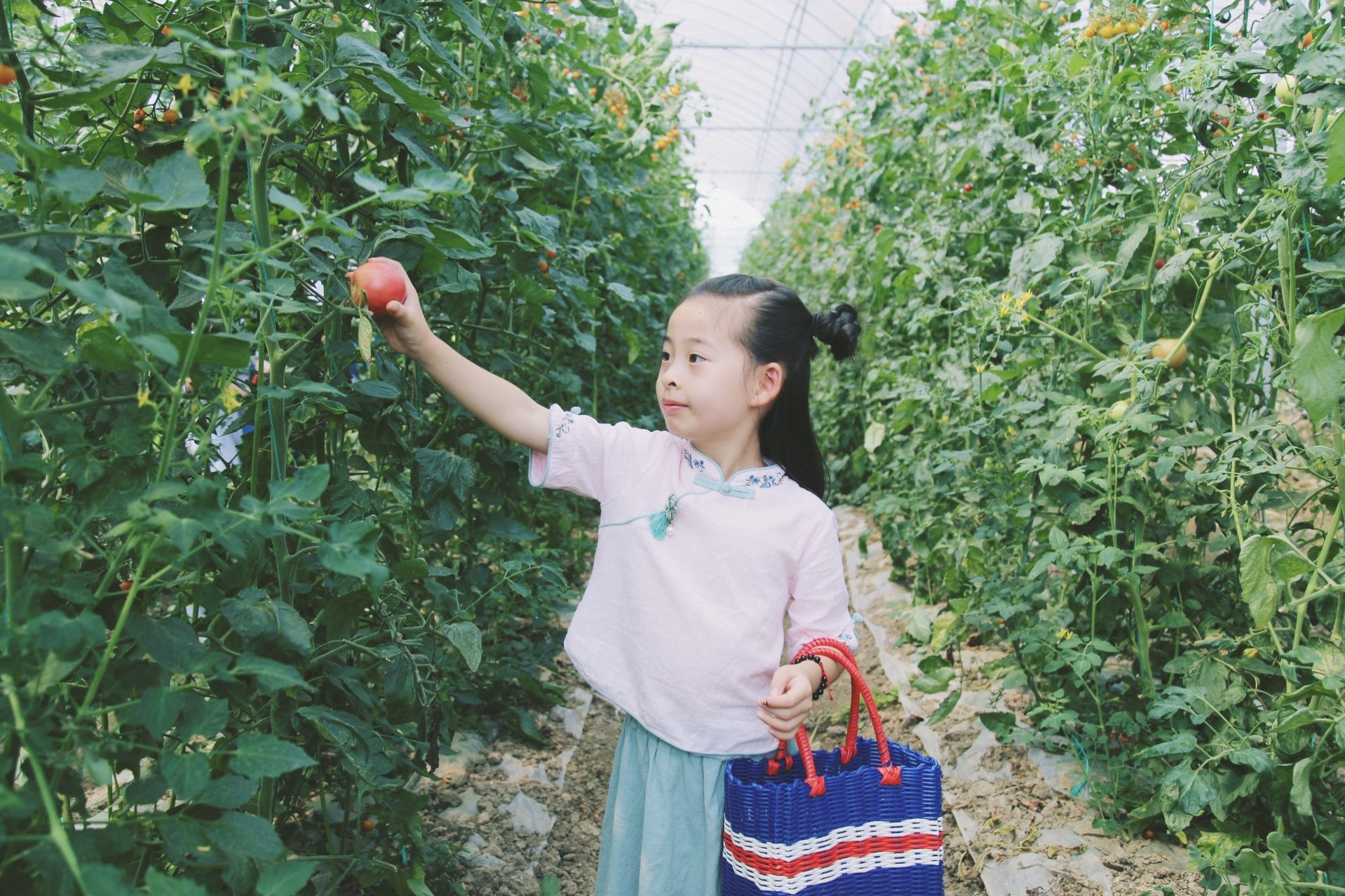 知道乌村吗，孩子来了就不愿离开，住乌村去西栅可以省150元