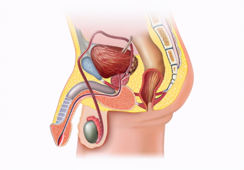 男孩一出生就失去一只眼睛,男性隐睾是先天还是后天的