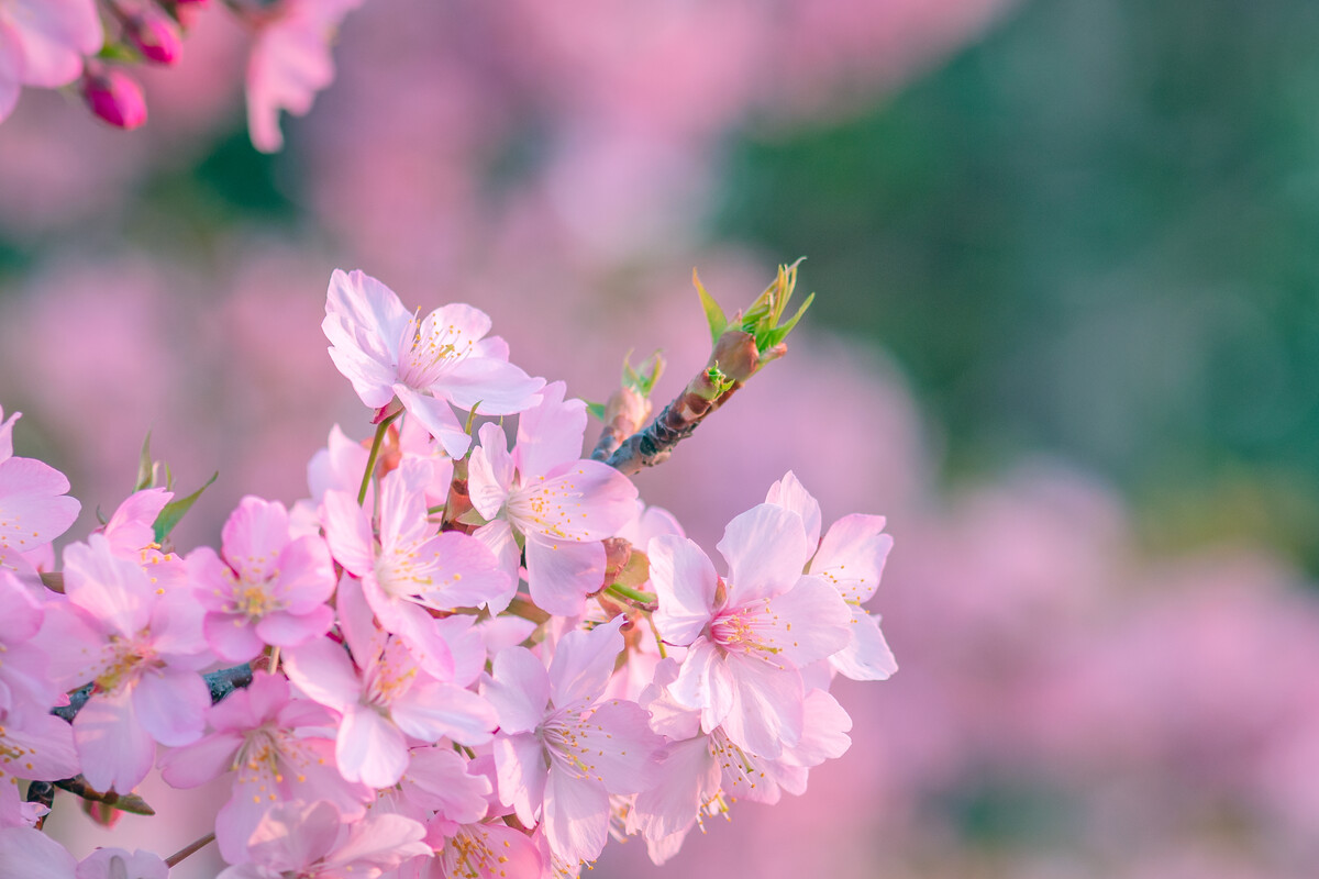 男人叫你老婆你怎么称呼才有趣,男人叫你老婆怎么高情商