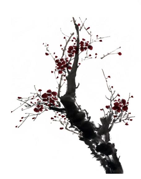 姊呰姳鍥界敾鐢绘硶鐩存挱,姊呰姳鍥界敾鍎跨鍏ラ棬