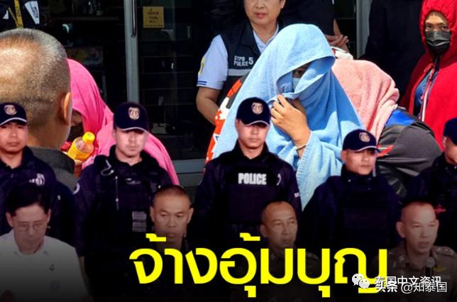 央视曝光非法代孕卵子,非法代孕的案件