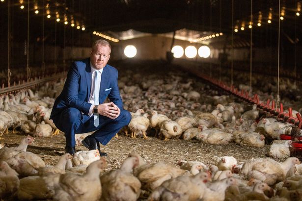 英国洗洁精洗鸡肉,英国洗衣液除螨除菌