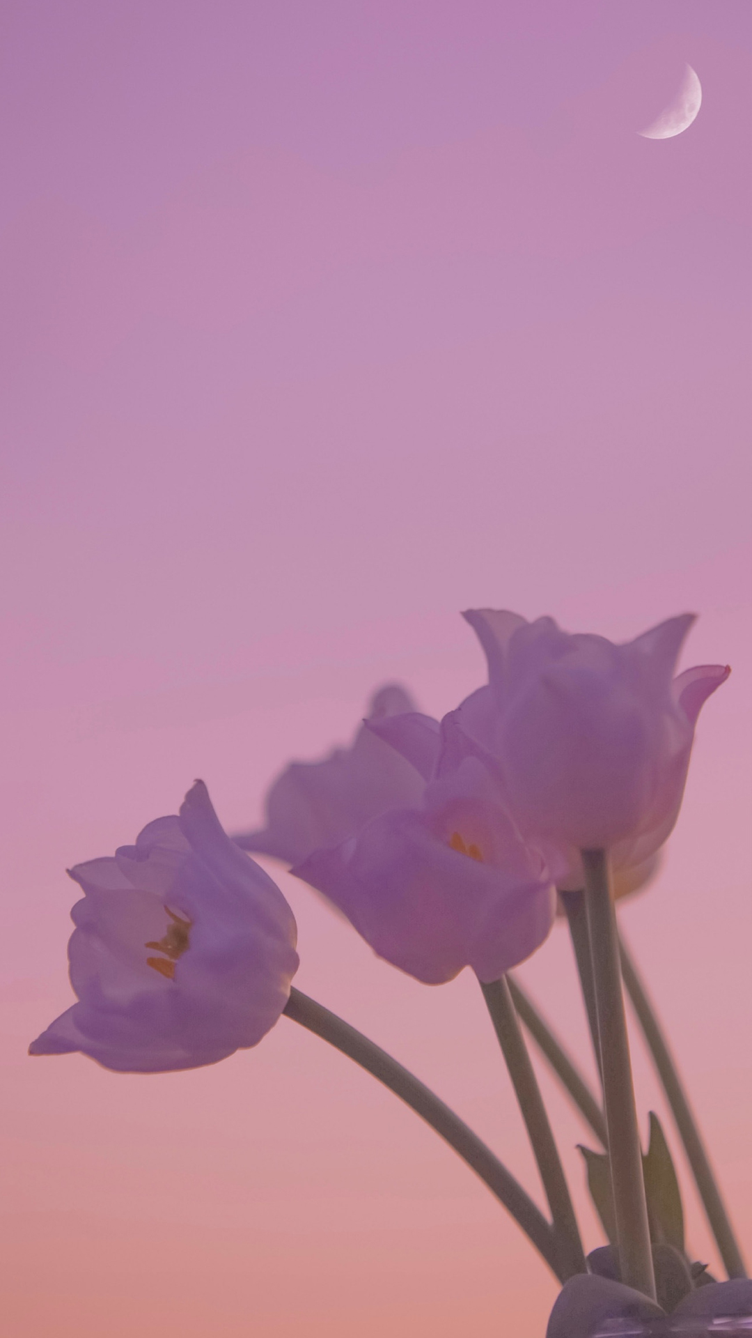 100张绝美壁纸海景,绝美壁纸夕阳窗户