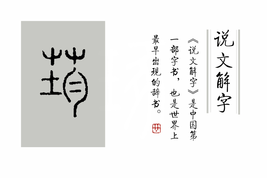 说文解字第0019集,说文解字第143课全集