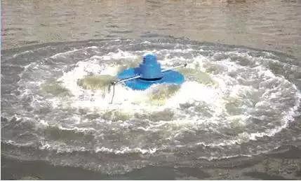 养殖虾经验,养殖虾大师视频