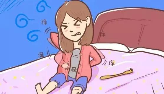 孕期皮肤瘙痒一挠就起小疙瘩,孕期皮肤瘙痒难忍能涂什么药