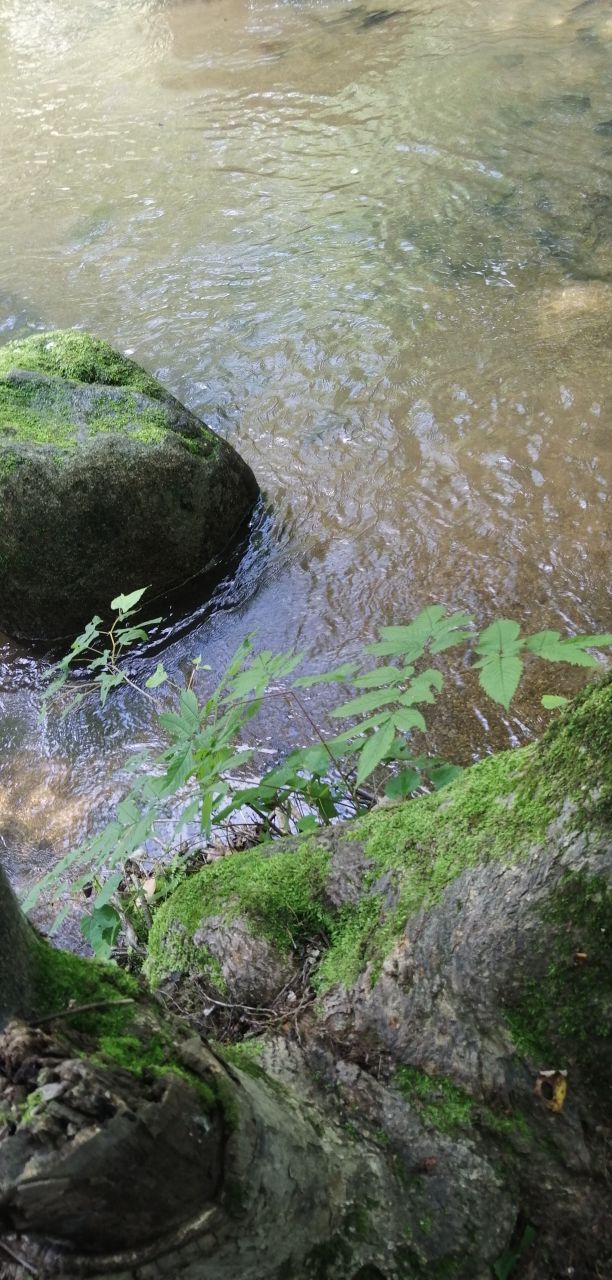 蛟河天岗太平山庄,蛟河太平山庄