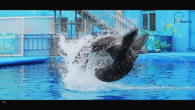 青岛海边遛娃免费十佳去处,青岛夏季遛娃