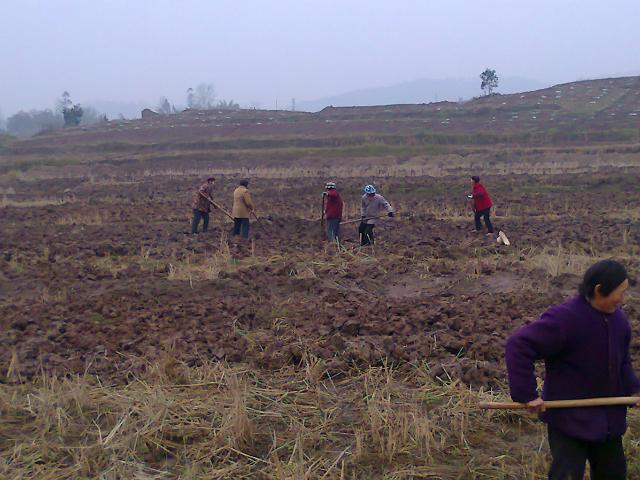 种地的成本和利润,农民种地赚钱亏本