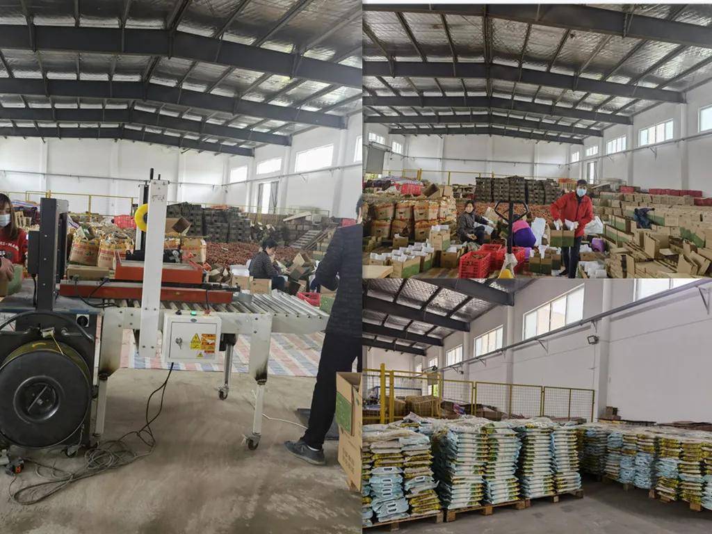 荆选快讯丨伟达电商：以高质量调研学习助推企业高质量发展