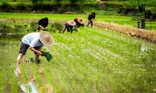 开粮油店要了解什么信息,粮油店生意怎么样