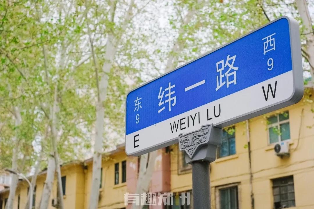 纬一路：在遮天的法桐里想起龙门书店的往事，以及家属院时光……