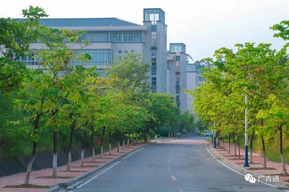 学考热门学校,学考热门专业院校