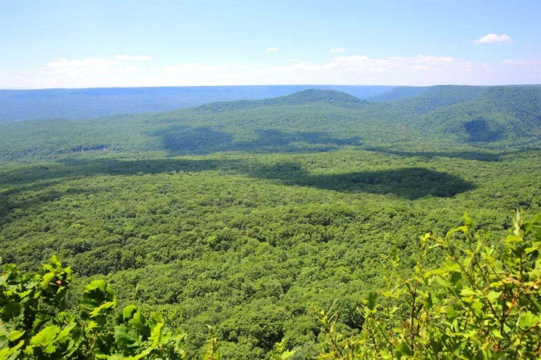 端午假期出游走哪儿这六条都别忘,端午节假期旅行