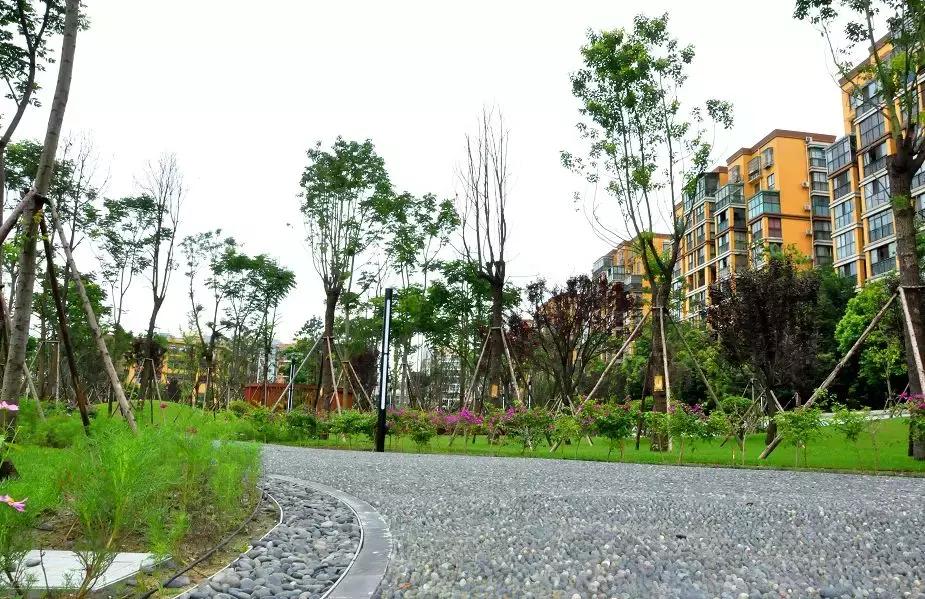 在双流怡心湖买房有潜力吗,在双流买房买哪好