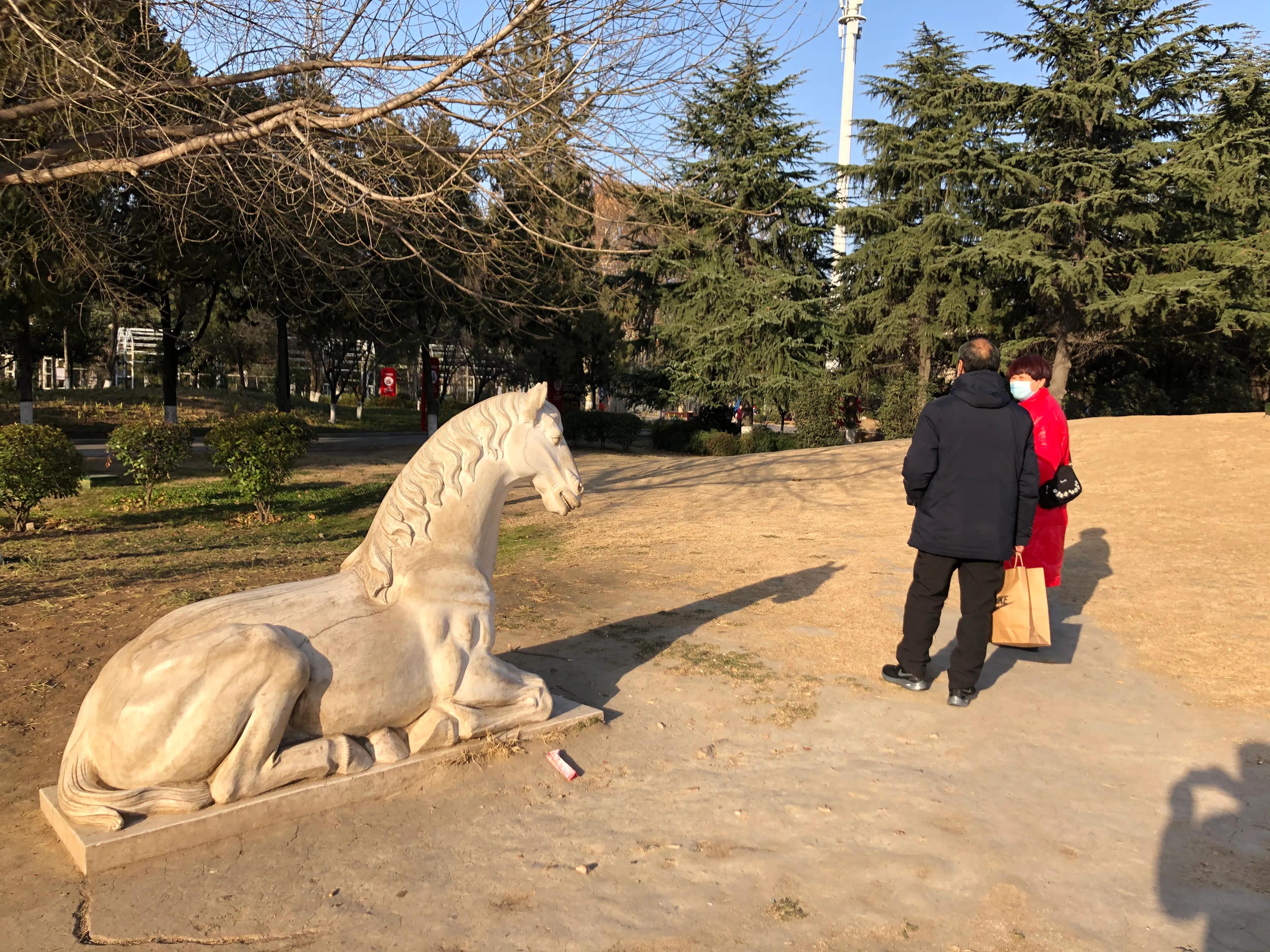 平顶山河滨公园旅游攻略,平顶山森林公园游记