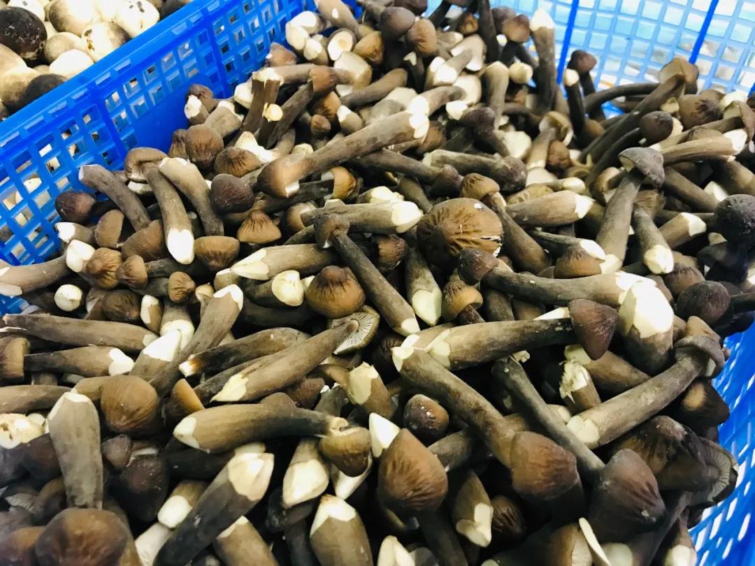 南京必去的四个菜市场,南京最值得打卡的菜市场