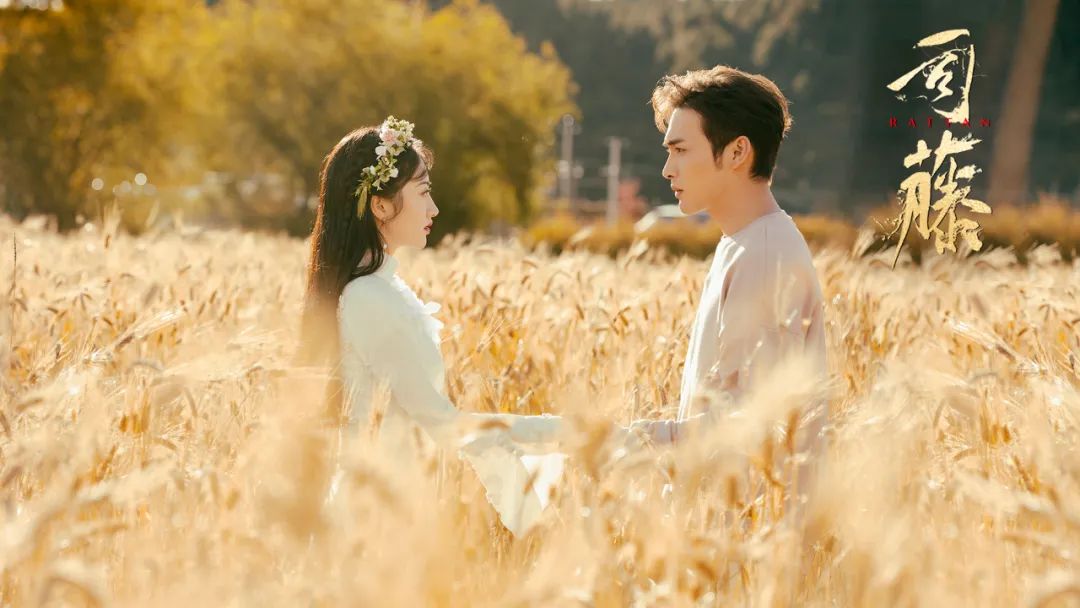 司藤和秦放现实中是什么关系,司藤和秦放中间经历了什么