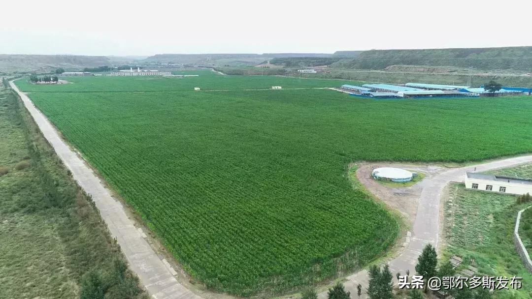 中水上山！东胜这座矿山堪比“花果山”！