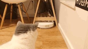 十大最鸡肋的家居神器,有哪些是鸡肋家居用品