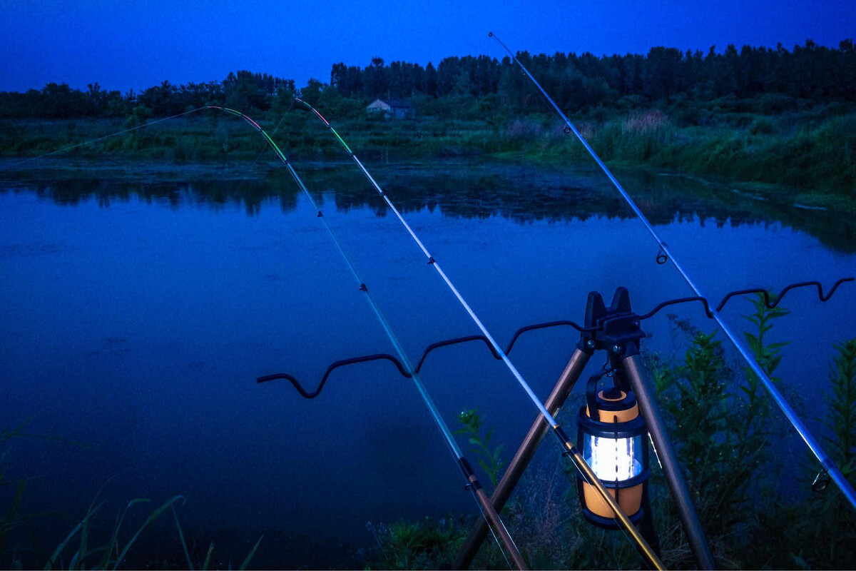 钓鱼夜钓需要什么技巧,夜钓小技巧和注意事项