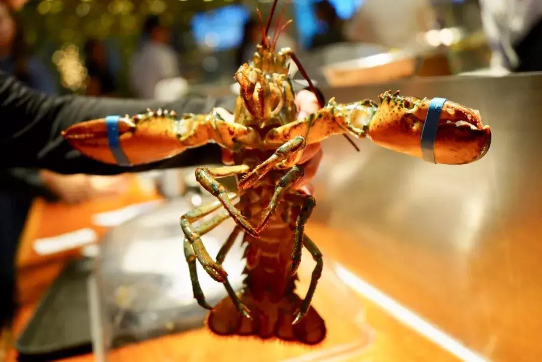 在澳门开一家宾馆,澳门伦敦人酒店开业