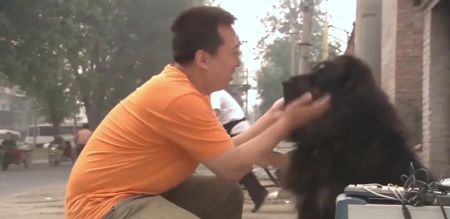 主人想把狗安乐死,主人选择抛弃狗狗