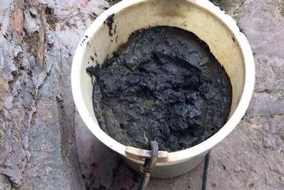 夏季这样养碗莲,碗莲怎么养才能开五颜六色的花