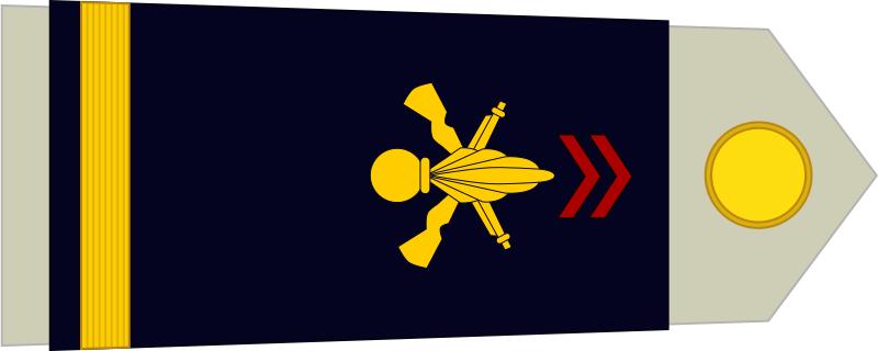 法国将军军衔等级,法国上校是什么军衔