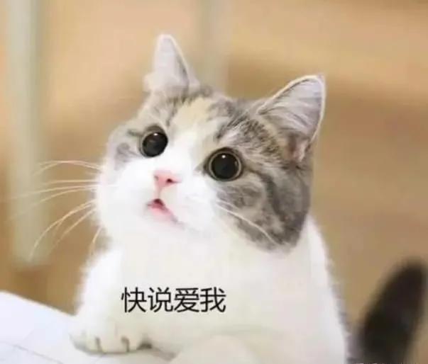 高中遇到自己喜欢的女生怎么办,高中要是碰到很喜欢的人怎么办啊