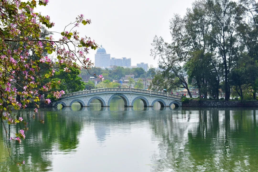 七星坠落玉湖来,乱点湖光水上栽,带你云游人间仙境七星岩。