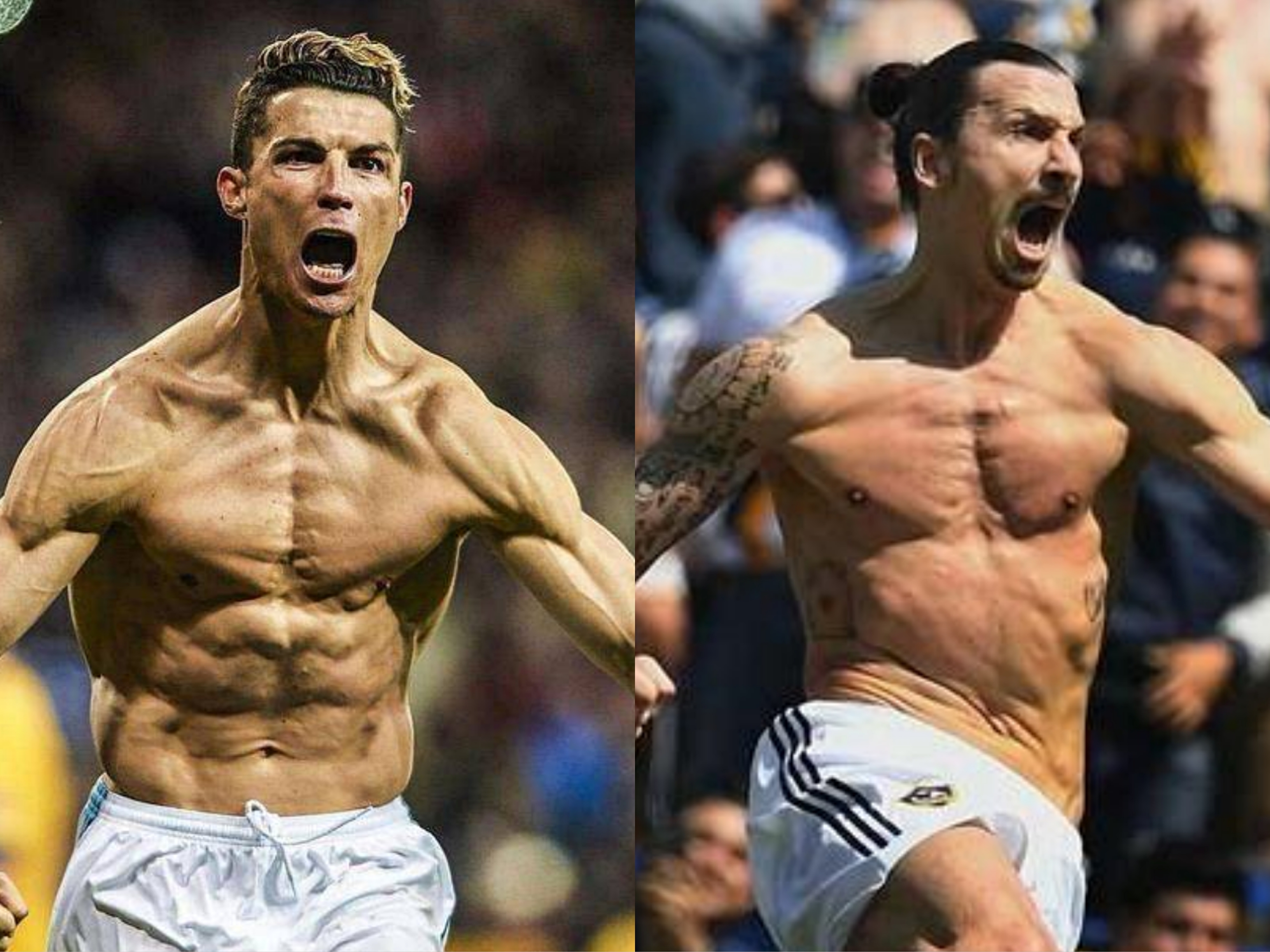 c罗和伊布谁更自律,c罗与伊布