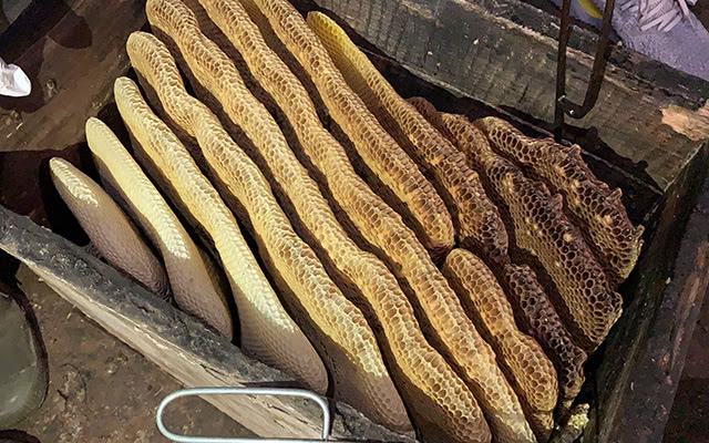 巢蜜可以造假吗,巢蜜究竟好不好