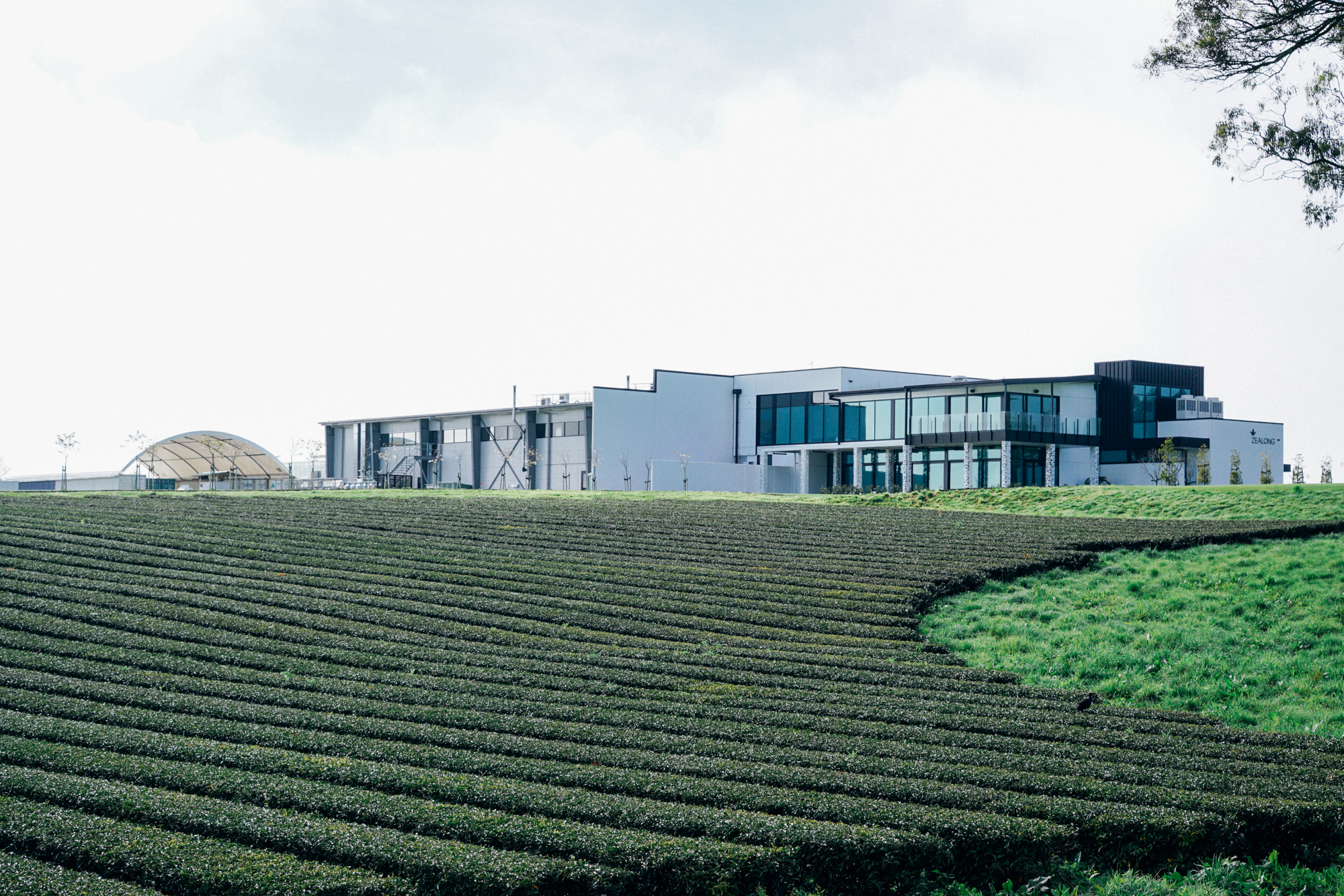 为什么说新西兰是纯净的,新西兰北岛有值得去的地方吗