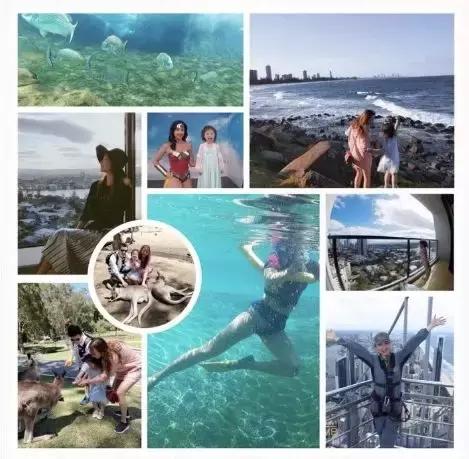 澳大利亚旅游抱考拉,麻麻游记视频大全