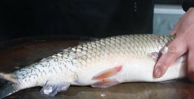 草鱼这样做麻辣鲜香好吃又入味,草鱼创意新吃法香嫩可口