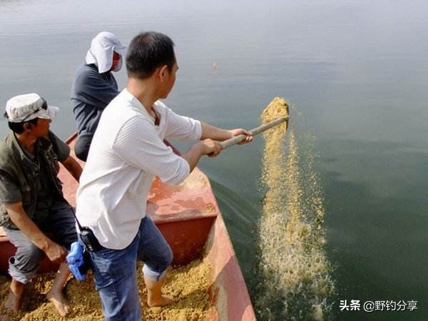 鱼窝打窝料的正确方法,简单有效的垂钓窝料制作方法