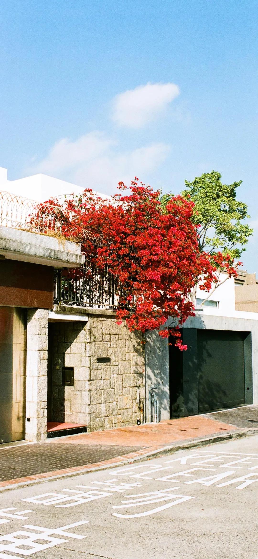 8k超清蓝光壁纸风景壁纸,壁纸超清全面屏山水风景壁纸