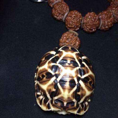 最牛的九种文玩你玩过几种,文玩最罕见排名前十的文玩