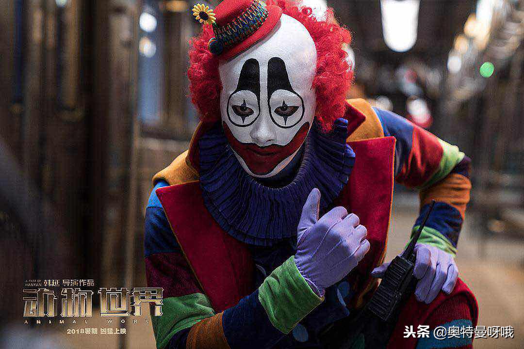 动物世界的伏笔,动物世界蕴藏的人生哲理