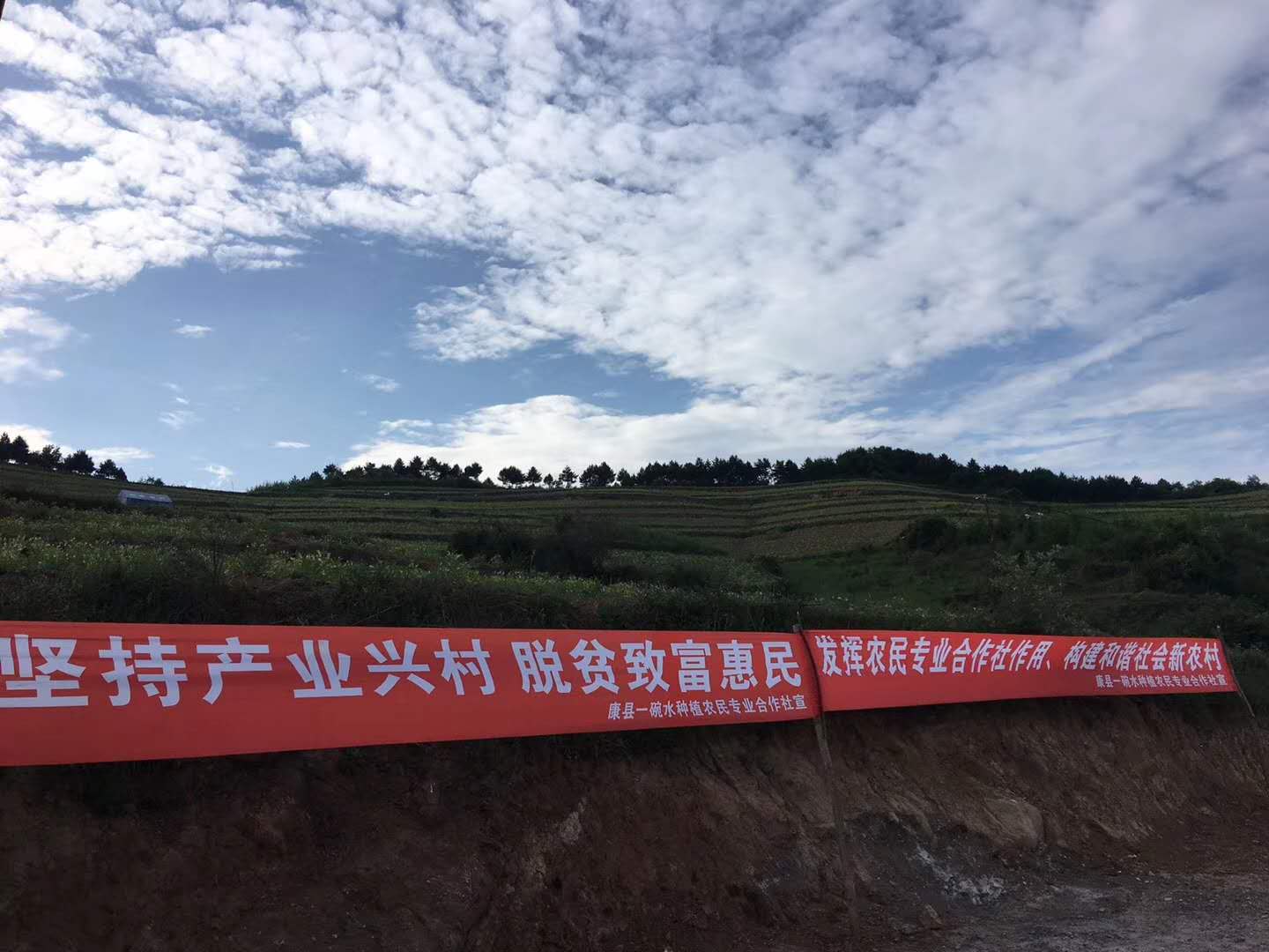 返乡农业创业哪里最好,农业创业到底有多难