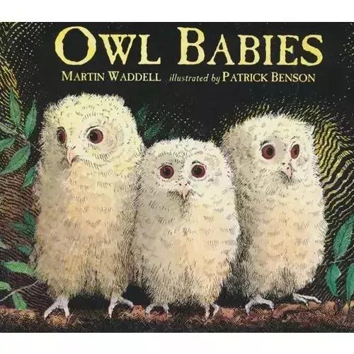 适合8岁0基础孩子看的英语绘本,3-15岁英文绘本阅读书单