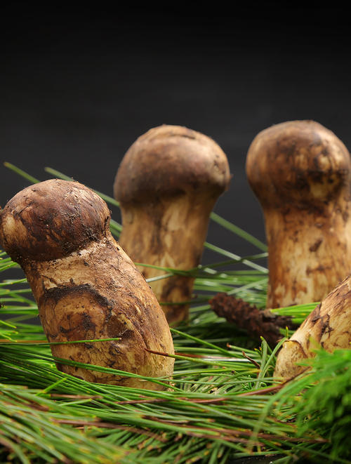 七月去云南吃什么,七月在云南